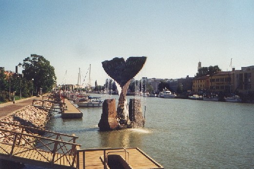 Coda di balena