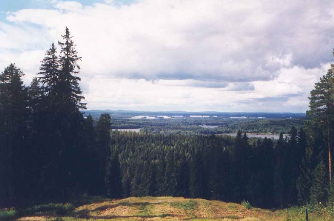 Panorama dalla collina di Puijo